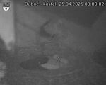 Capi_Dubne_20250425_000002.jpg
