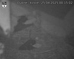 Capi_Dubne_20250425_001502.jpg
