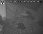 Capi_Dubne_20250425_010002.jpg
