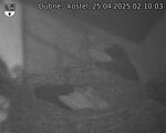 Capi_Dubne_20250425_021003.jpg
