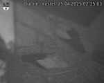Capi_Dubne_20250425_022503.jpg
