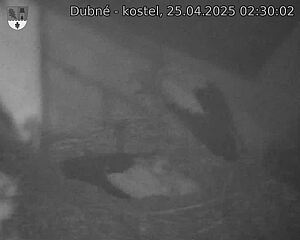 Capi_Dubne_20250425_023002.jpg (1350 x 1080)