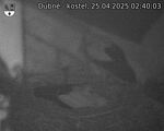 Capi_Dubne_20250425_024003.jpg