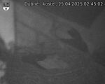 Capi_Dubne_20250425_024502.jpg