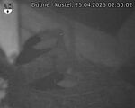 Capi_Dubne_20250425_025002.jpg