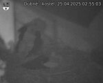 Capi_Dubne_20250425_025503.jpg