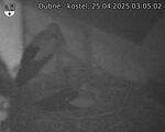 Capi_Dubne_20250425_030502.jpg