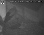Capi_Dubne_20250425_031003.jpg