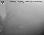 Capi_Dubne_20250425_032002.jpg