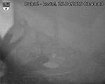 Capi_Dubne_20250425_034003.jpg