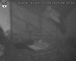 Capi_Dubne_20250425_045002.jpg
