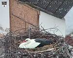 Capi_Dubne_20250425_062003.jpg
