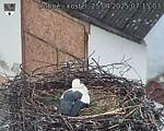 Capi_Dubne_20250425_071503.jpg