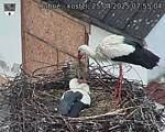Capi_Dubne_20250425_075504.jpg