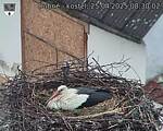 Capi_Dubne_20250425_083002.jpg