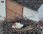 Capi_Dubne_20250425_093002.jpg
