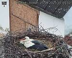 Capi_Dubne_20250425_100502.jpg