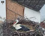 Capi_Dubne_20250425_101004.jpg