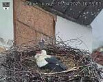 Capi_Dubne_20250425_105503.jpg