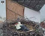 Capi_Dubne_20250425_110002.jpg