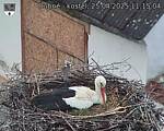 Capi_Dubne_20250425_111504.jpg