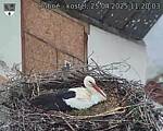 Capi_Dubne_20250425_112003.jpg