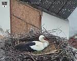 Capi_Dubne_20250425_113002.jpg