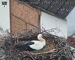 Capi_Dubne_20250425_114003.jpg