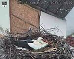 Capi_Dubne_20250425_114502.jpg