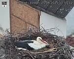 Capi_Dubne_20250425_115502.jpg