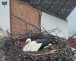 Capi_Dubne_20250425_122003.jpg