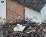 Capi_Dubne_20250425_122504.jpg