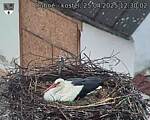 Capi_Dubne_20250425_123002.jpg