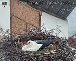 Capi_Dubne_20250425_125504.jpg