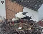 Capi_Dubne_20250425_130504.jpg