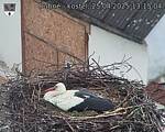 Capi_Dubne_20250425_131504.jpg