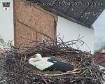 Capi_Dubne_20250425_132504.jpg