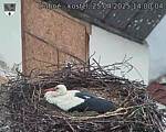 Capi_Dubne_20250425_140004.jpg