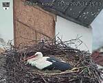 Capi_Dubne_20250425_142503.jpg
