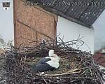 Capi_Dubne_20250425_143502.jpg