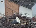 Capi_Dubne_20250425_145004.jpg