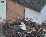 Capi_Dubne_20250425_145502.jpg