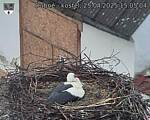 Capi_Dubne_20250425_150504.jpg