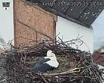 Capi_Dubne_20250425_151004.jpg