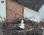 Capi_Dubne_20250425_151502.jpg