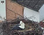 Capi_Dubne_20250425_152002.jpg