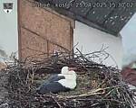 Capi_Dubne_20250425_153002.jpg