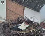 Capi_Dubne_20250425_155002.jpg