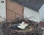 Capi_Dubne_20250425_155503.jpg