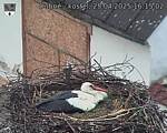 Capi_Dubne_20250425_161502.jpg